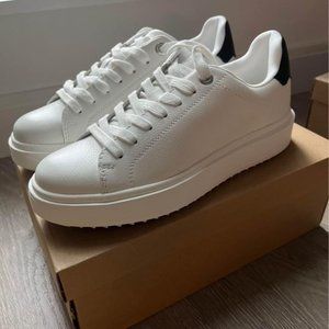 NWT/NIB Steve Madden Catcher White Black Sneaker Size 8.5